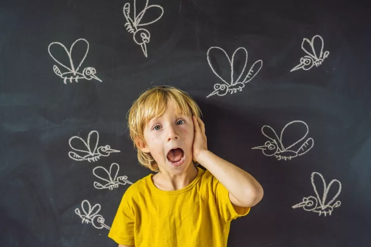 How do you clean after bed bug treatment?