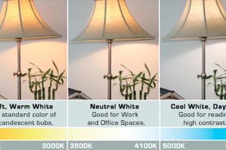 Types of Lighting for Reading