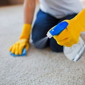 How To Remove Pet Hair From The Carpet