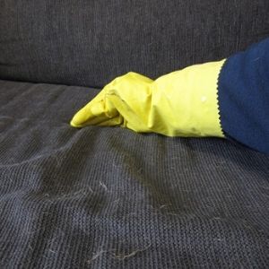 How To Remove Pet Hair From The Upholstery