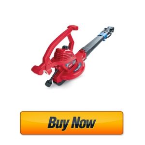 Toro 51621 UltraPlus Leaf Blower Vacuum