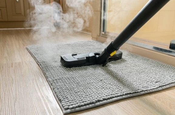 Best Steam Vacuum
