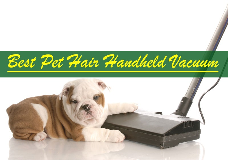 The Best Hand Held Vacuum For Pet Hair