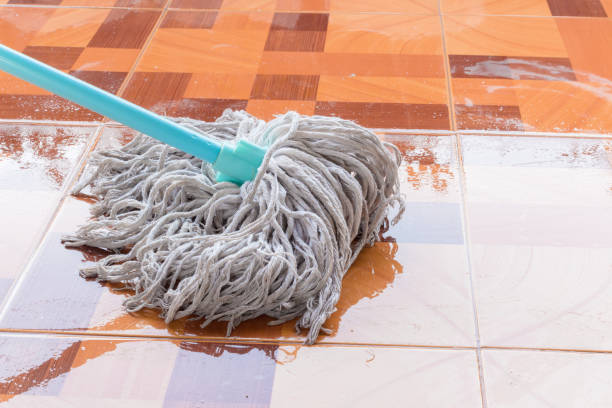 Mop Cleaning Solution