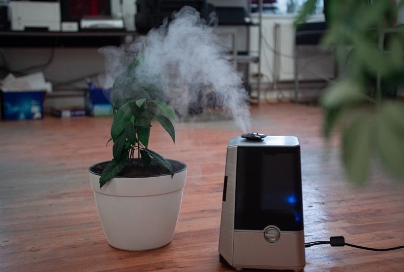 Best Air Purifier for Open Floor Plan In The Market 2023